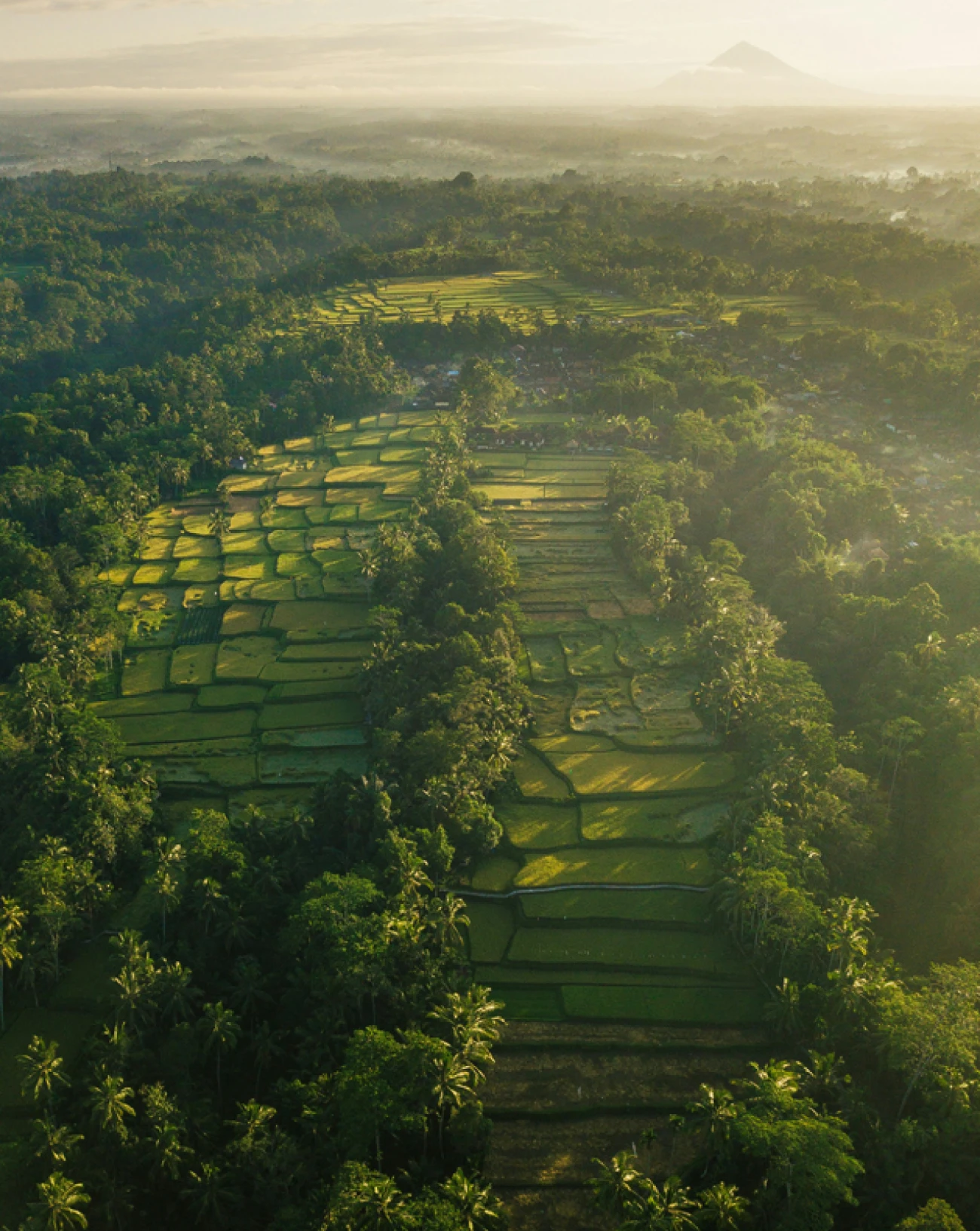 Lush Villa scalable investment model