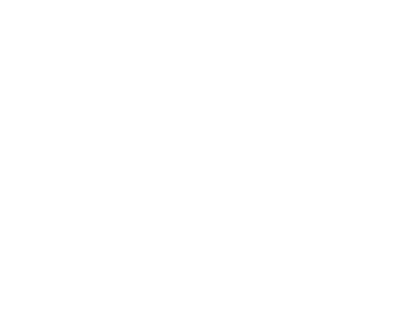 Legal partner