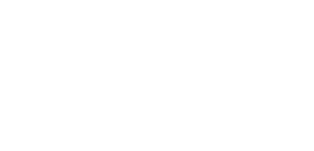 Management partner